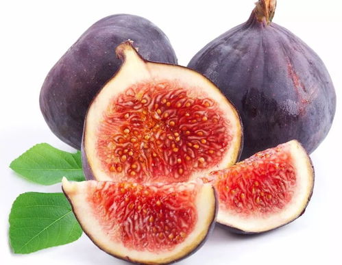 中秋養(yǎng)生佳肴 楊志敏教授推薦果品燉雞，溫潤(rùn)團(tuán)圓好滋味