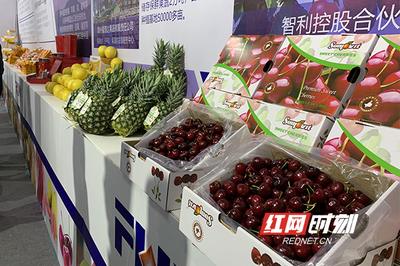 周末果品會 繽紛水果盛宴，盡享舌尖上的甜蜜時光