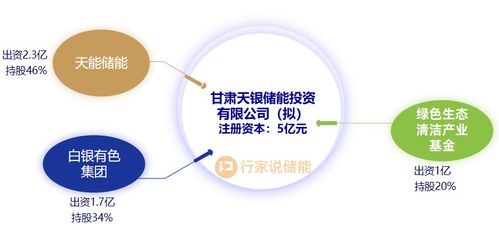 儲能產業爆發式增長 2024年日增205家新公司，超7千家入局，大數據賦能行業新生態